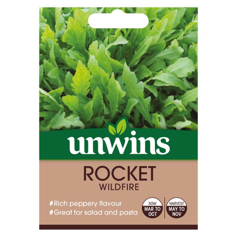 5051618029391 1 Rocket Wildfire Seeds.jpg